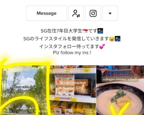 シンガポール 大喧嘩 オーチャードプラザで人斬りつけられるけど ハロアジはシンガポール情報 サイトです