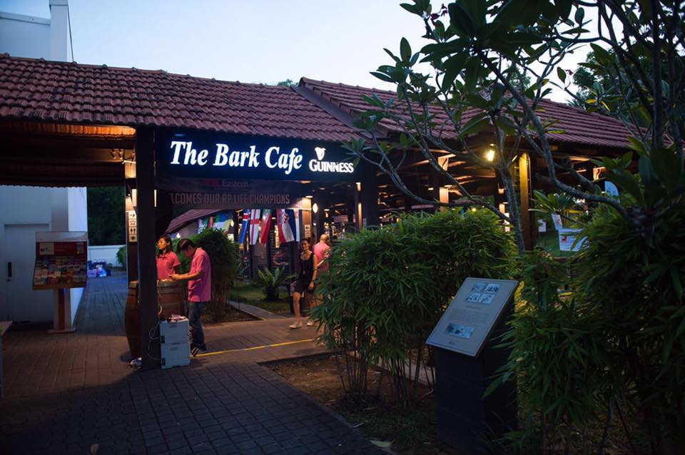 開放的な雰囲気の店内がおすすめ「The Bark Café」