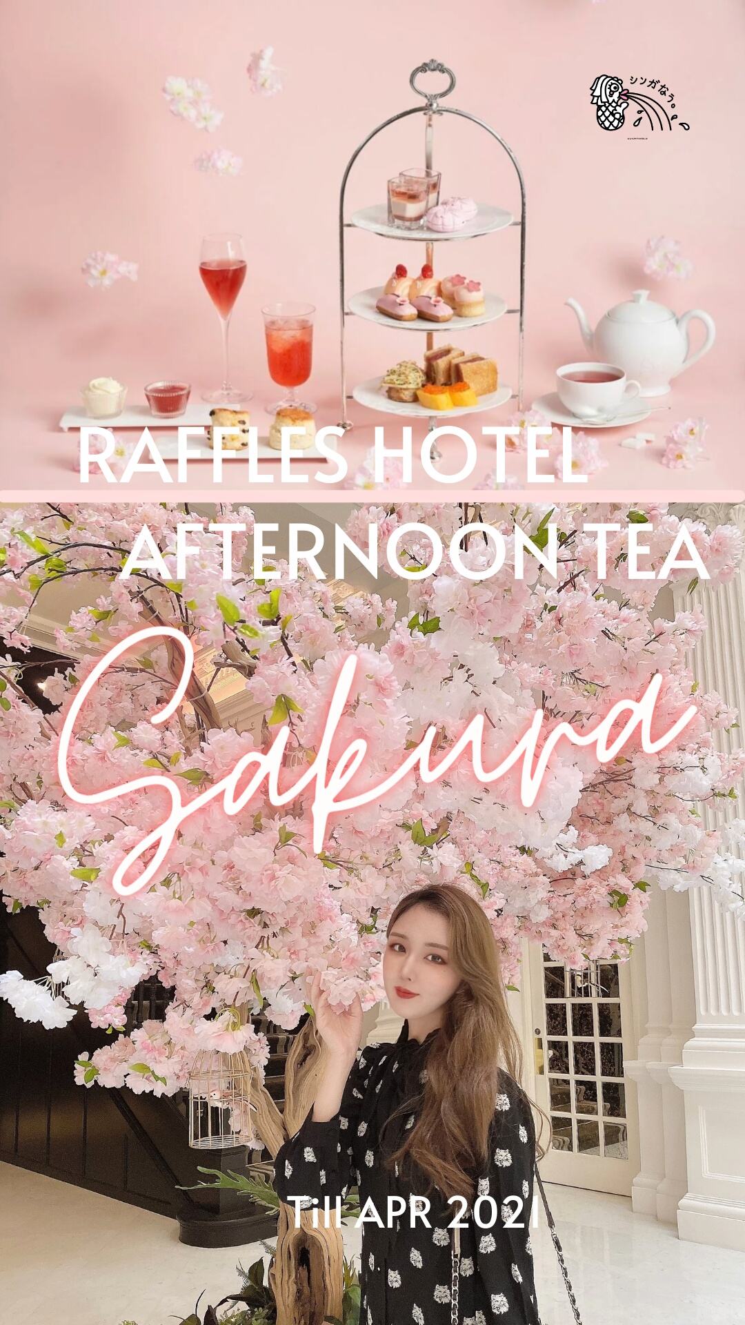 桜いっぱいの Raffles Hotel アフタヌーンティー行ってきた ハロアジはシンガポール情報 サイトです