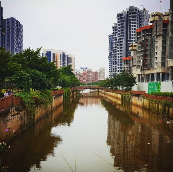 【シンガポールナマズ釣り】 シンガポール川でその他に釣れる魚ってなに？