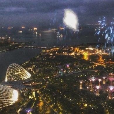 シンガポールカウントダウン のハイライト動画・画像集。 やっぱ行けば良かったｗ