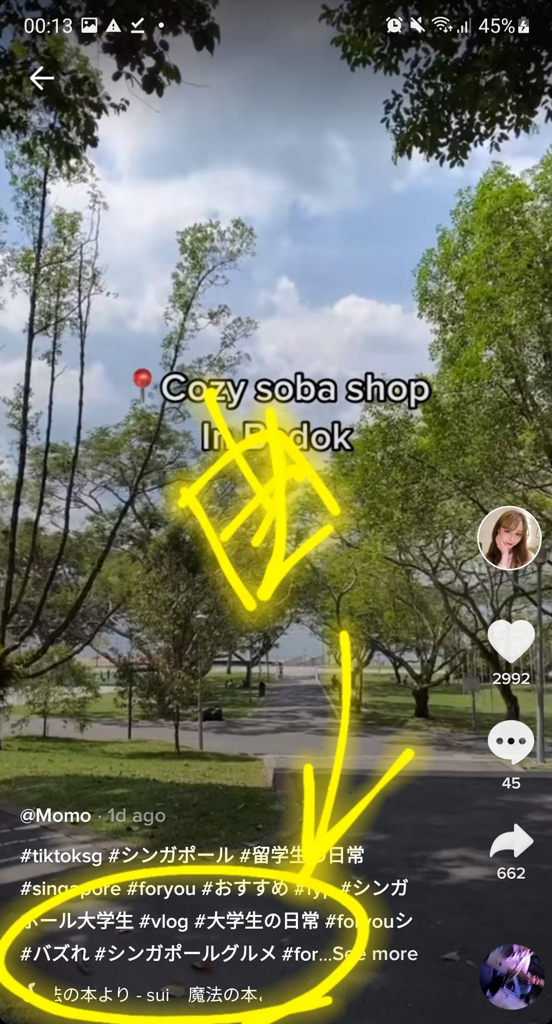シンガポール TIKTOK 桃子ちゃん 選曲
