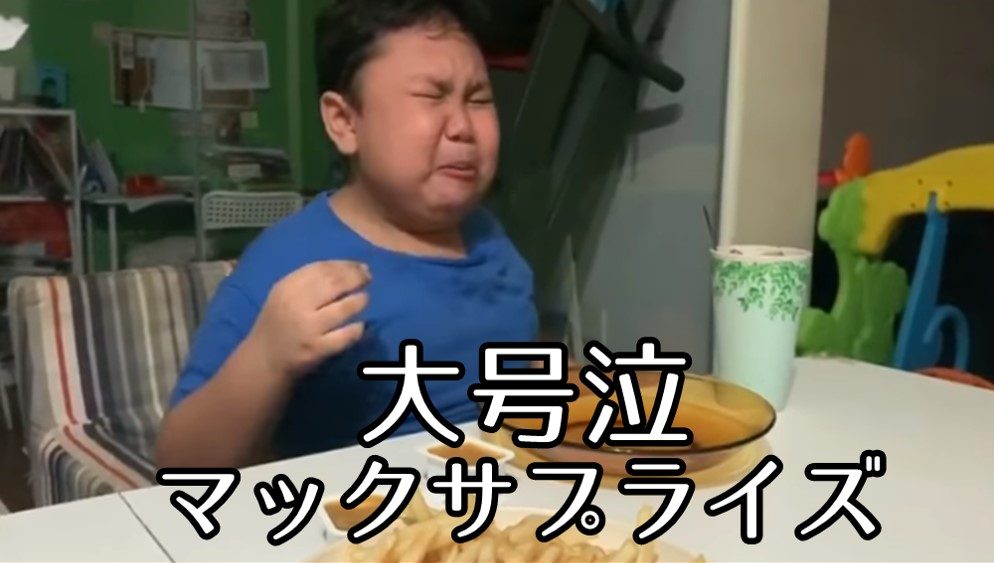 【動画】シンガポールマックドナルド サプライズで息子さん大号泣！